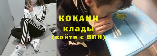 мет Арсеньев