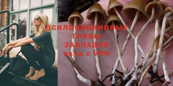 гашик Армянск