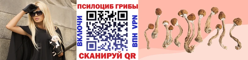 blacksprut маркетплейс Петухово Галлюциногенные грибы GOLDEN TEACHER